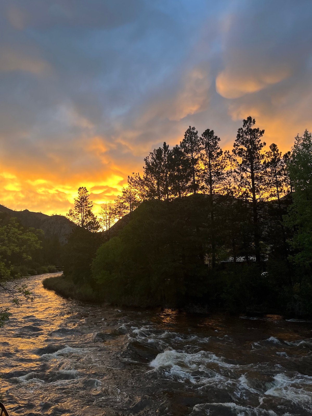 Paradise found! 3-bed home on the Poudre River