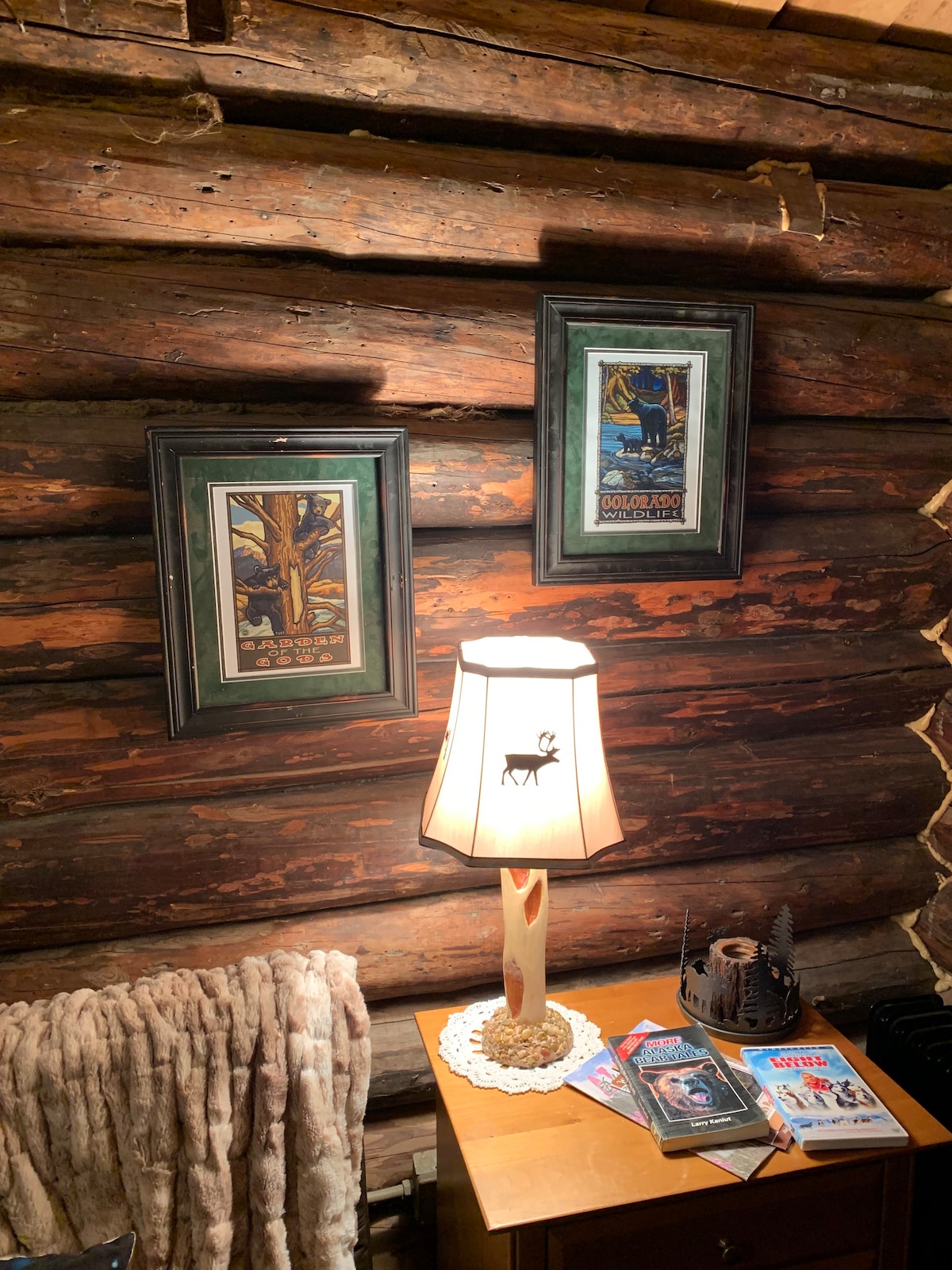 Historical Ferryman cabin on River in Alaska