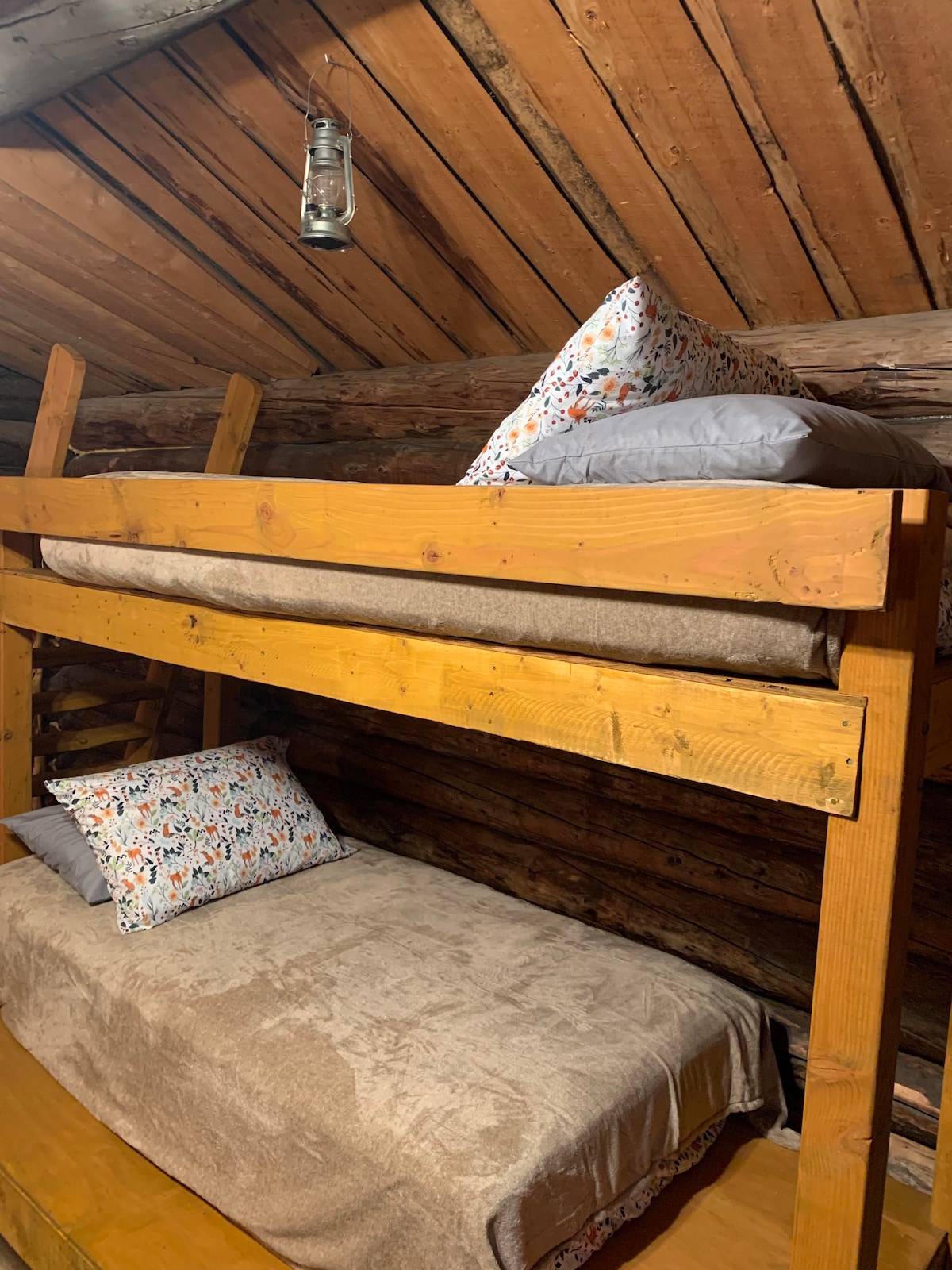 Historical Ferryman cabin on River in Alaska