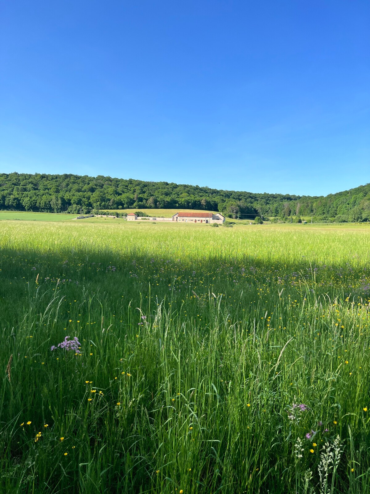 Aujon Valley gites （ 4人和6人）