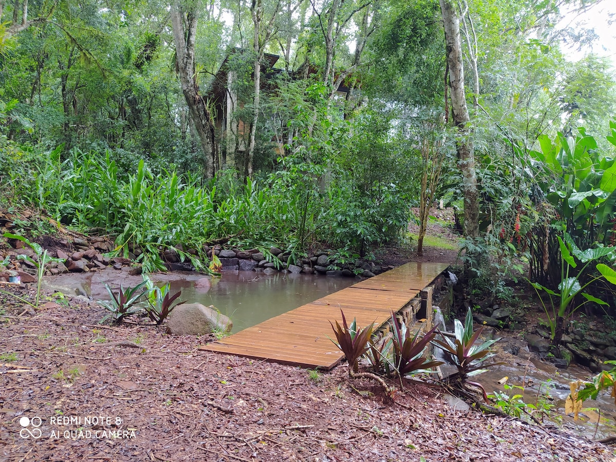 面向帕拉纳河（ Paraná River ）的丛林中的现代小屋。