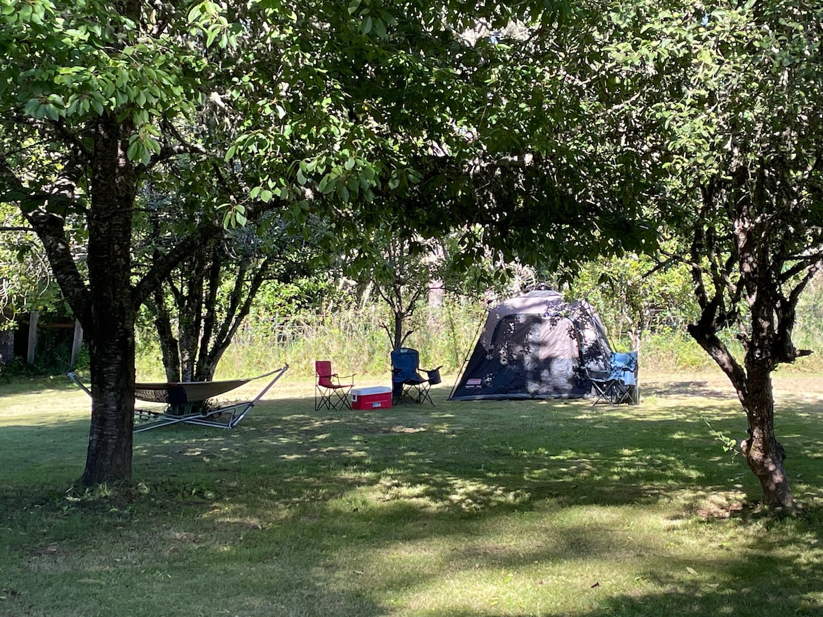 RV Camping Site near Oregon Country Fair