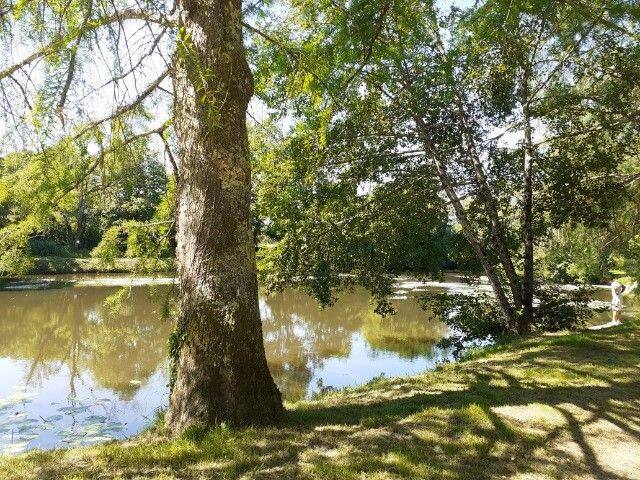 Savignac-les-Églises的民宿