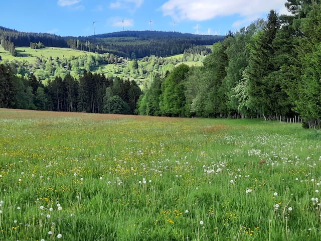 Sankt Kathrein am Hauenstein的民宿