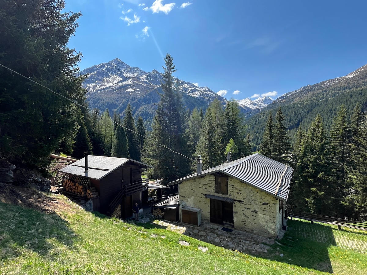 🌲 度假木屋Pòz Alpine度假木屋，宽敞的户外空间