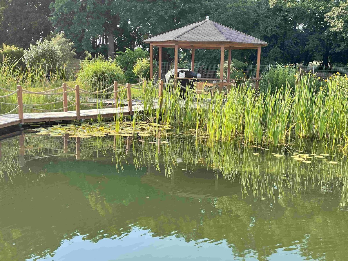 带花园和游泳池的美丽住宿