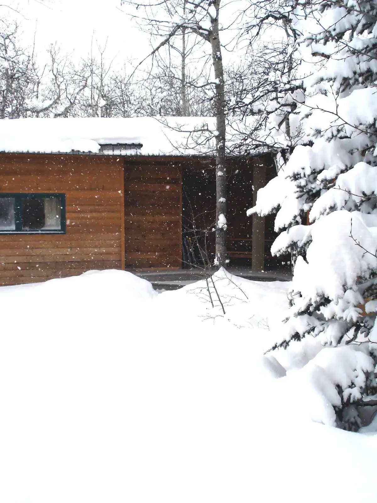 Turtle Mountain Cabin - Sauna & Hot Tub