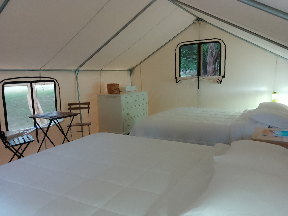 Safari Tent Glamping, D30-CedarPt, East Hampton, NY