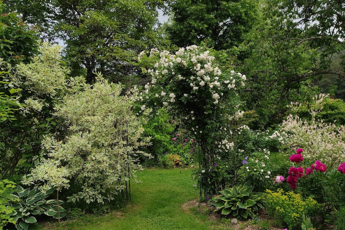 "Au Jardin des Félinois"