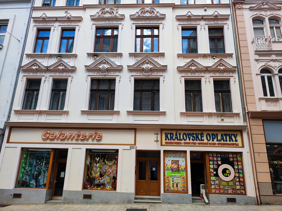 位于Karlovy Vary中心的舒适公寓