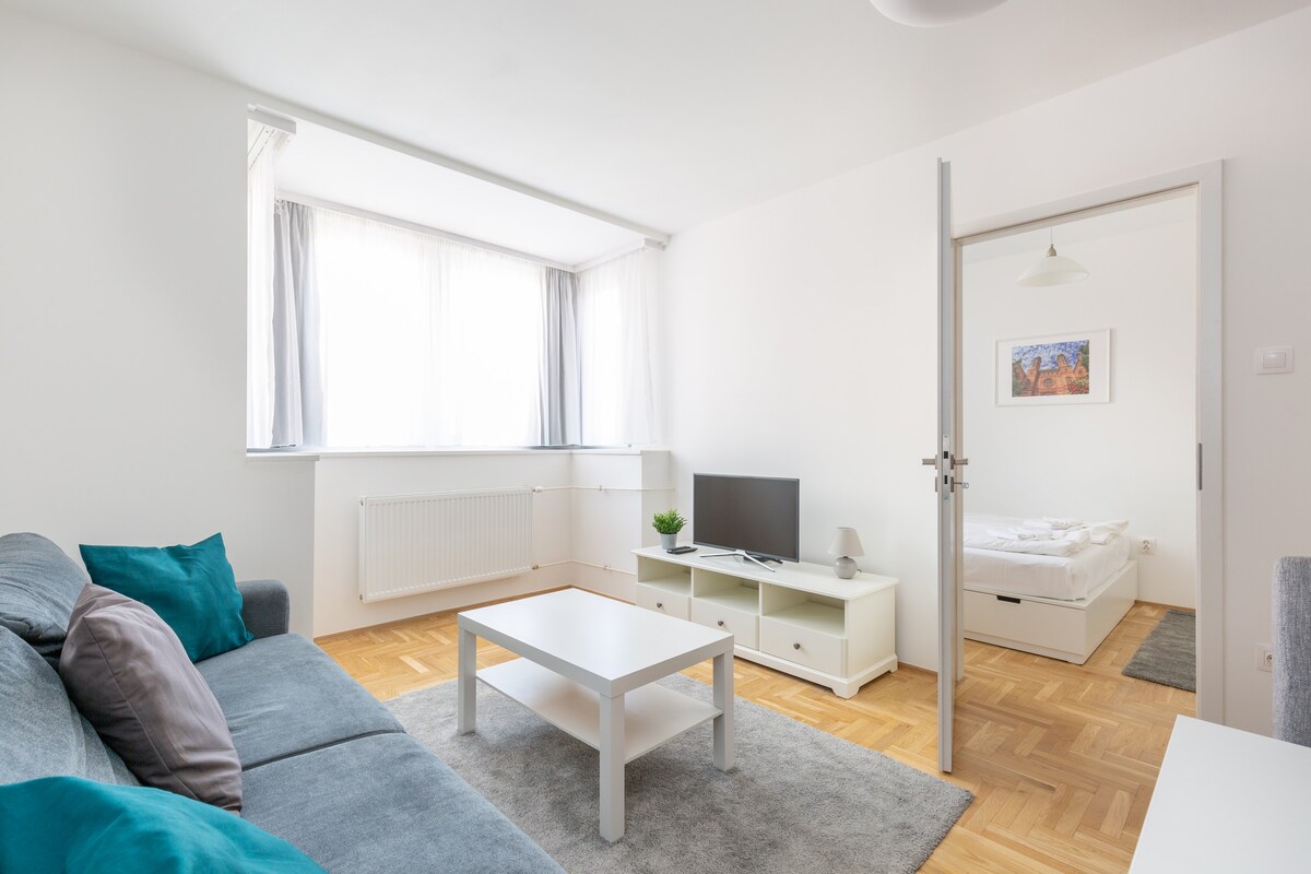 位于布达佩斯市中心的舒适3卧室公寓