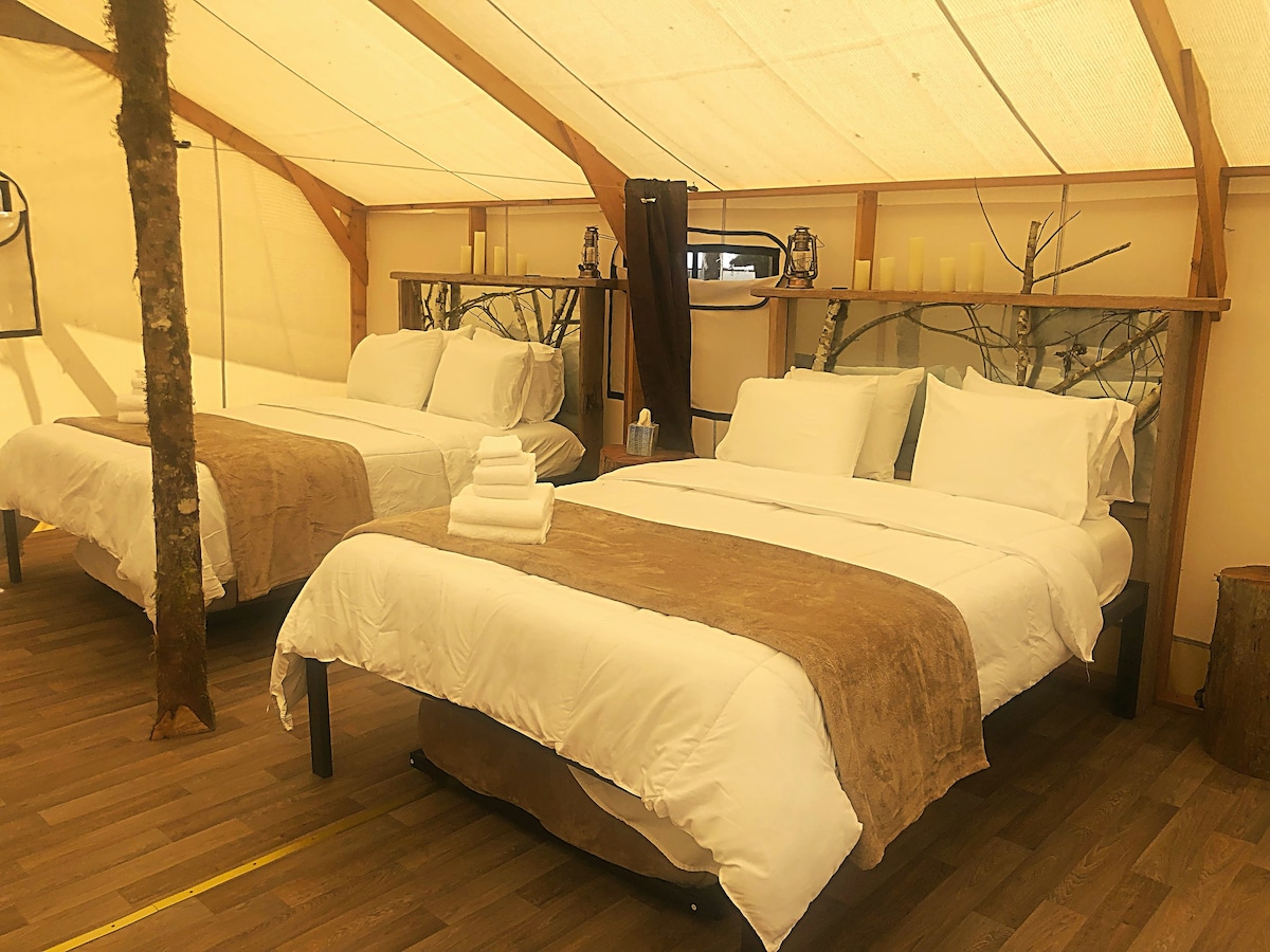 莫斯奎奇度假村（ Mossquatch Resort ）的帆布豪华露营帐篷7