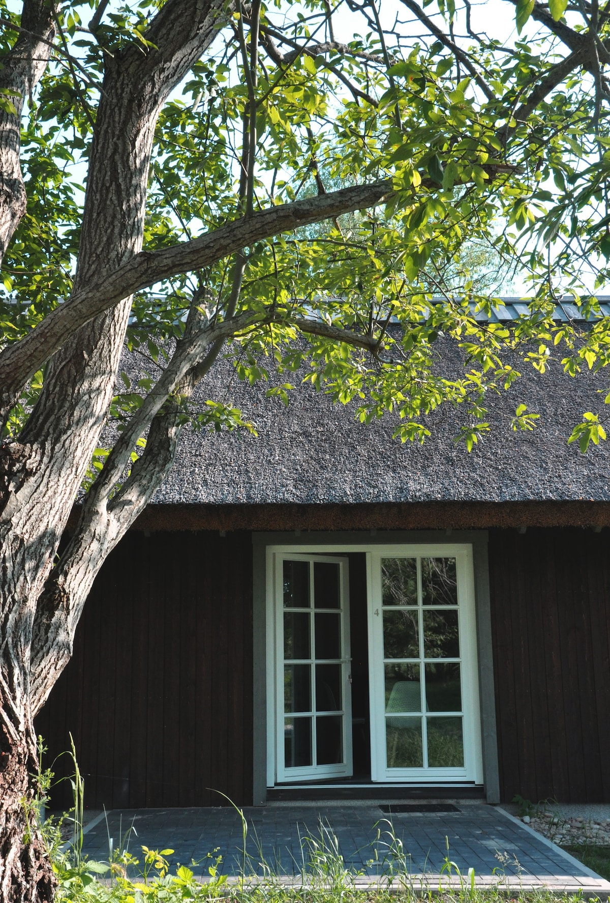 A calm space for nature lovers by the sea