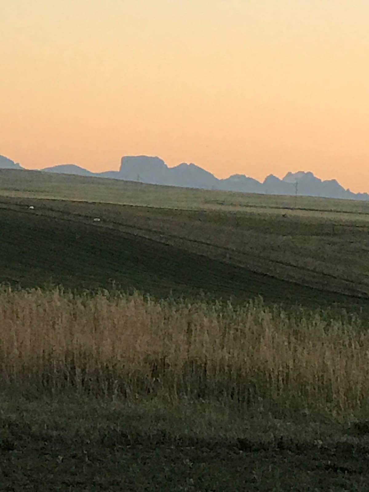 Pothole Creek Ranch