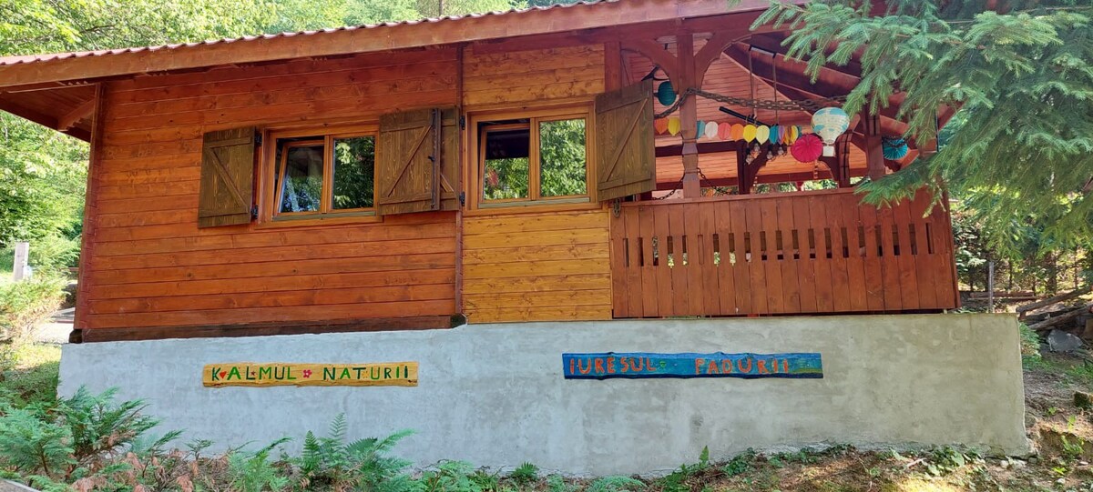 KALMul naturii, iureșul pădurii