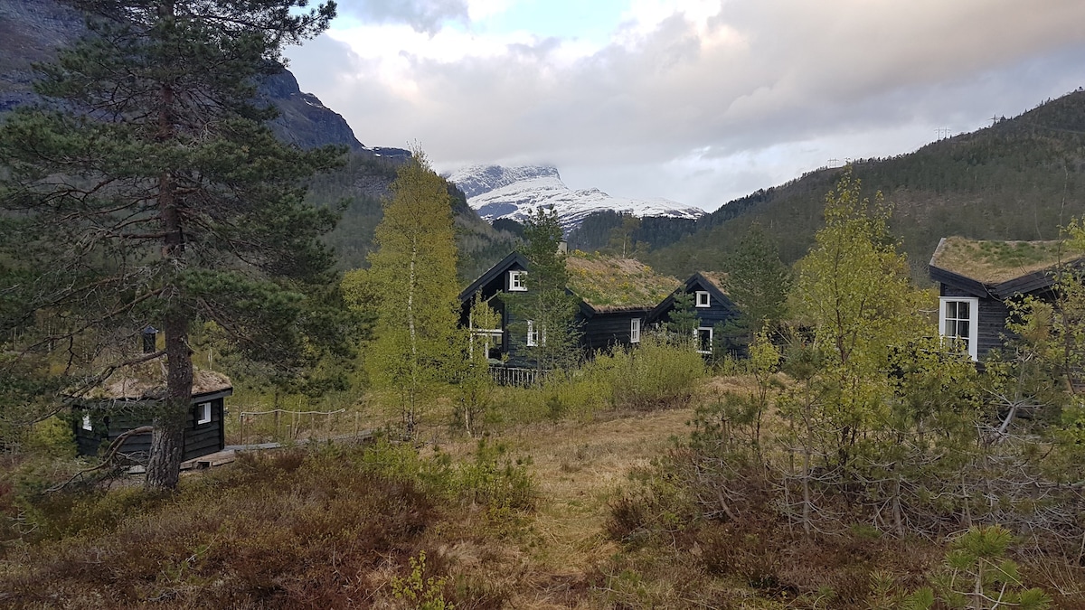 独特大自然中的大型家庭小木屋