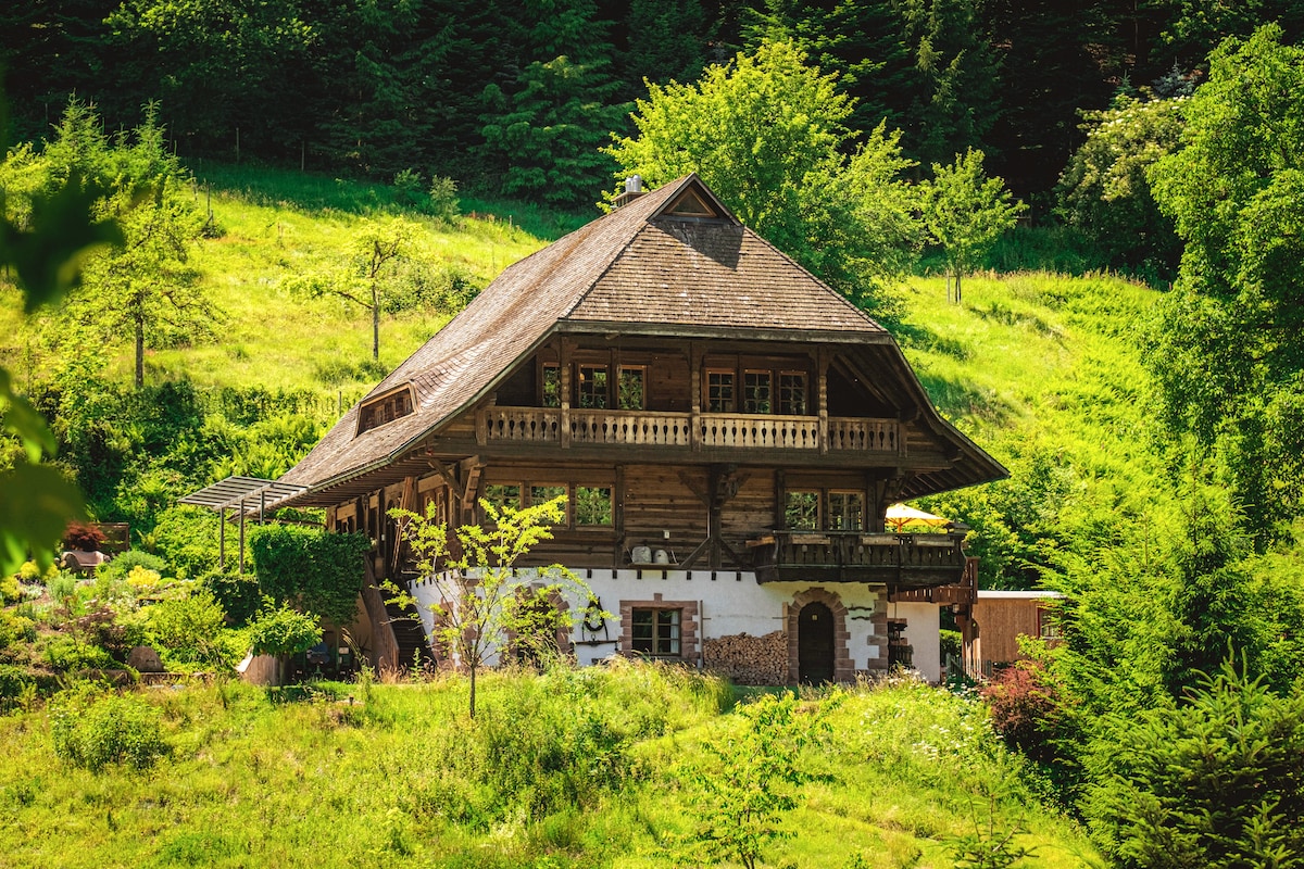 Black Forest House Holzhackhof