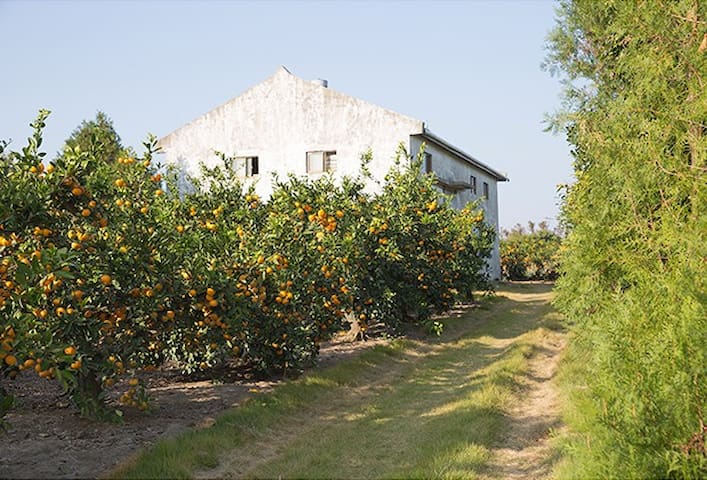 Andeok-myeon, Seogwipo的民宿