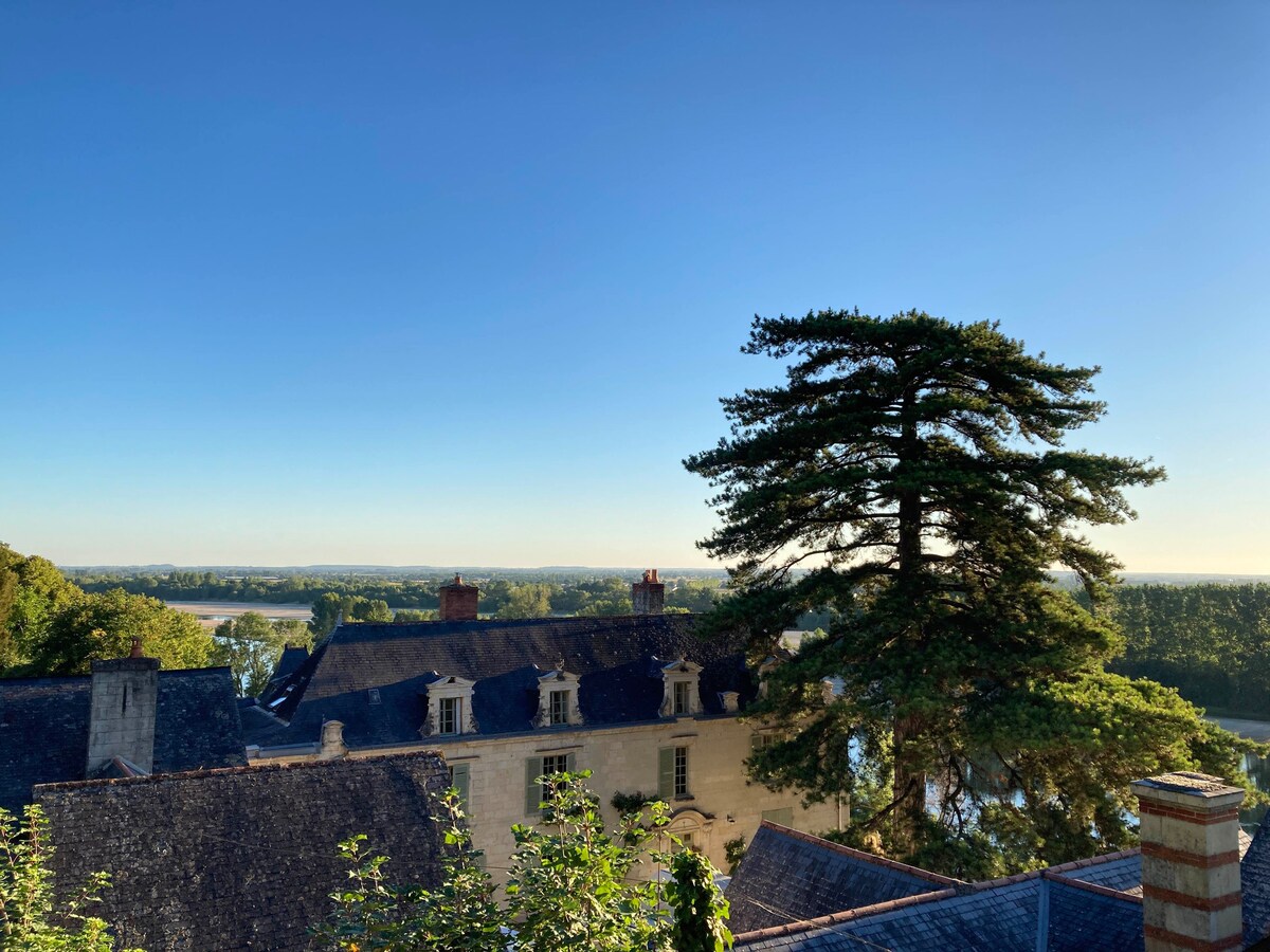 Gite 7-9 personnes - Vue remarquable sur La Loire