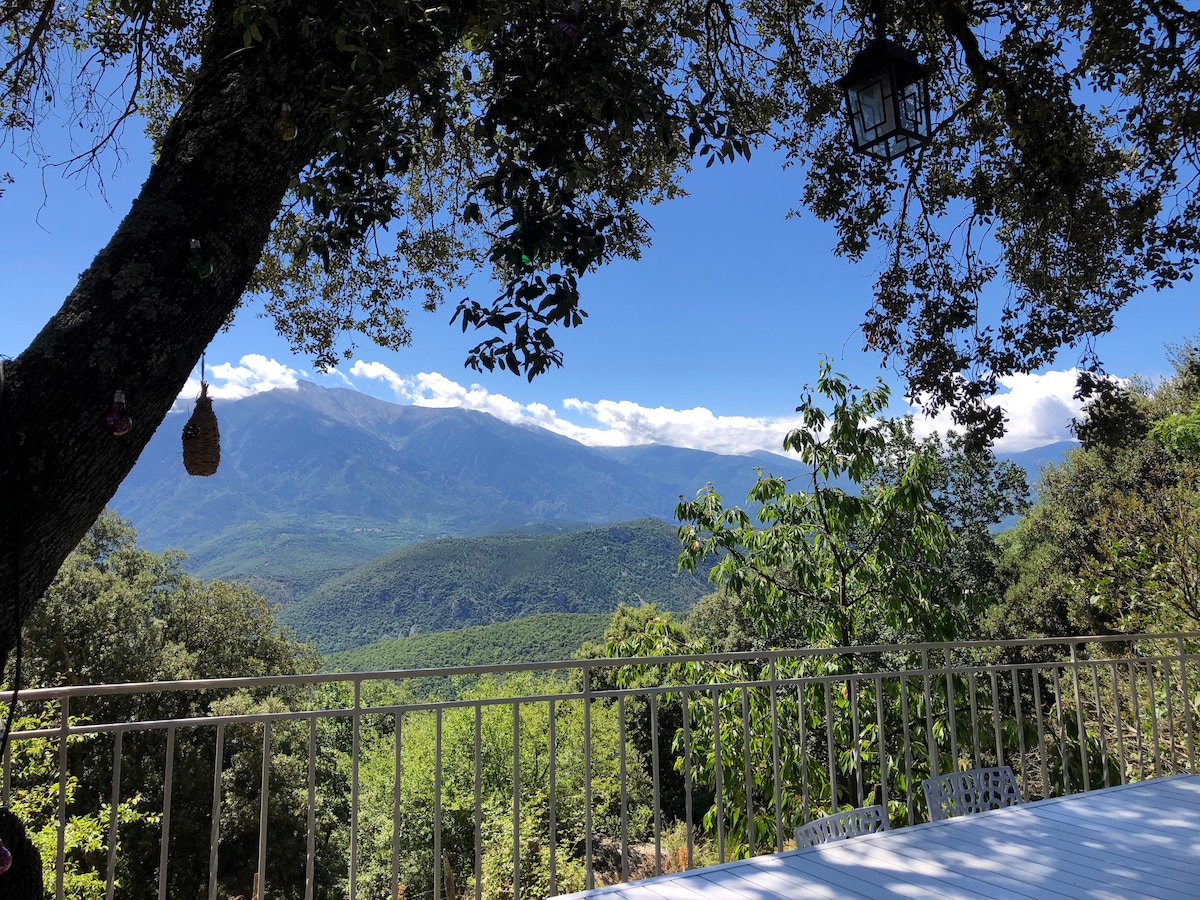 Seuls au monde - Mas isolé avec vue sur le Canigou