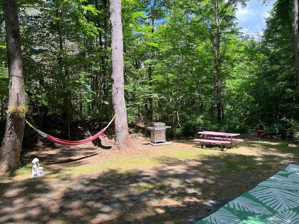 Delightful RV Rental surrounded by woods