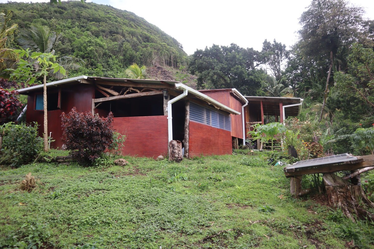 eco-responsible cottage in the heart of the nature