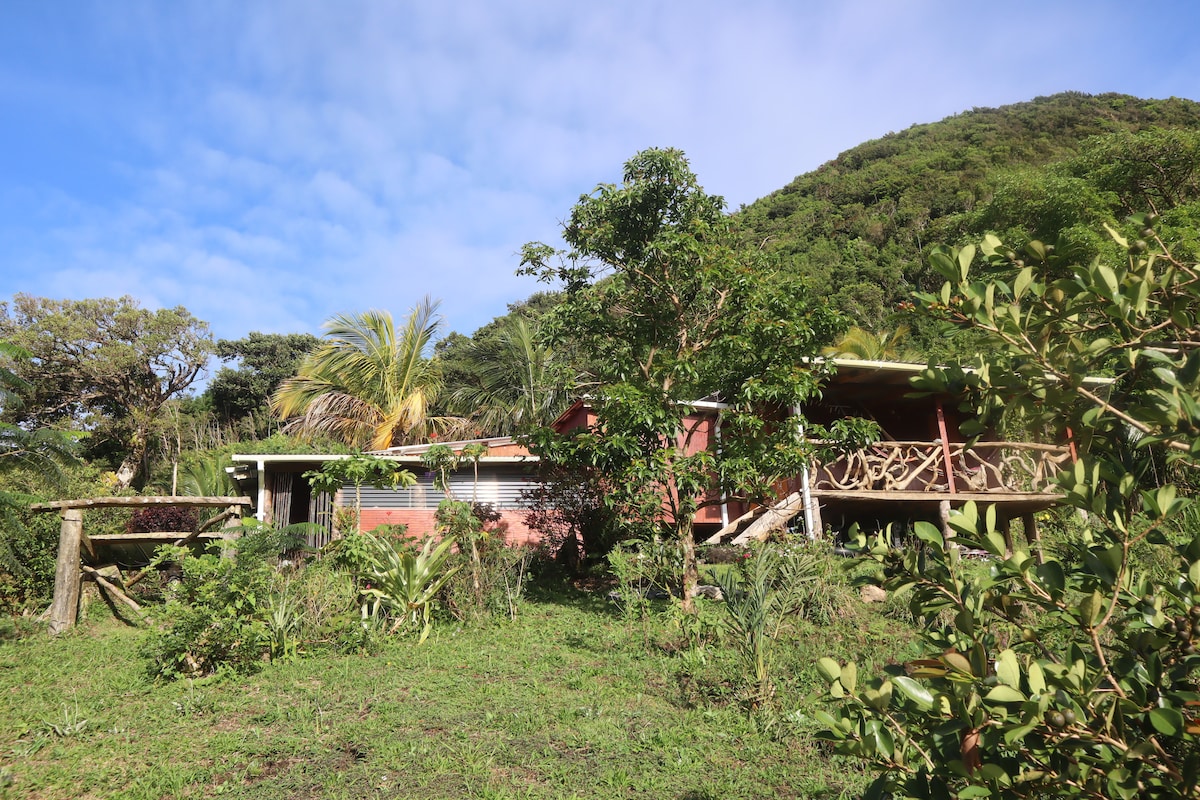 eco-responsible cottage in the heart of the nature