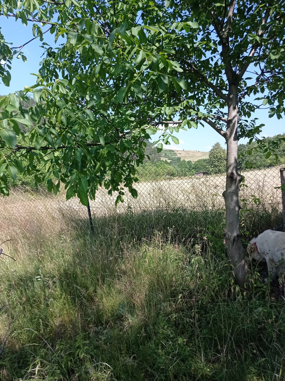 Stanovanie alebo spanie pod hviezdami