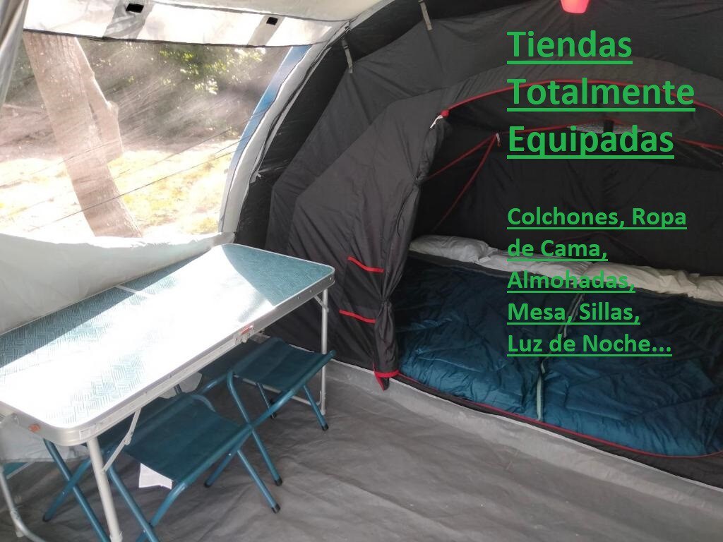 自然营1卧帐篷