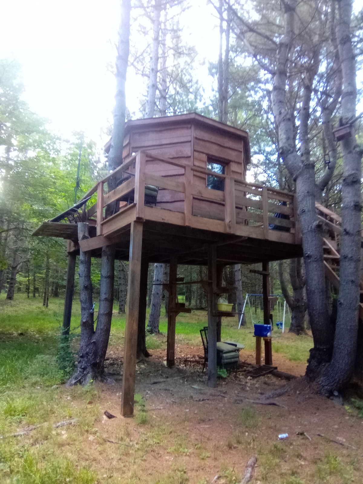 八角树屋（ Octagon Tree House ）设有火坑和树木繁茂的景点