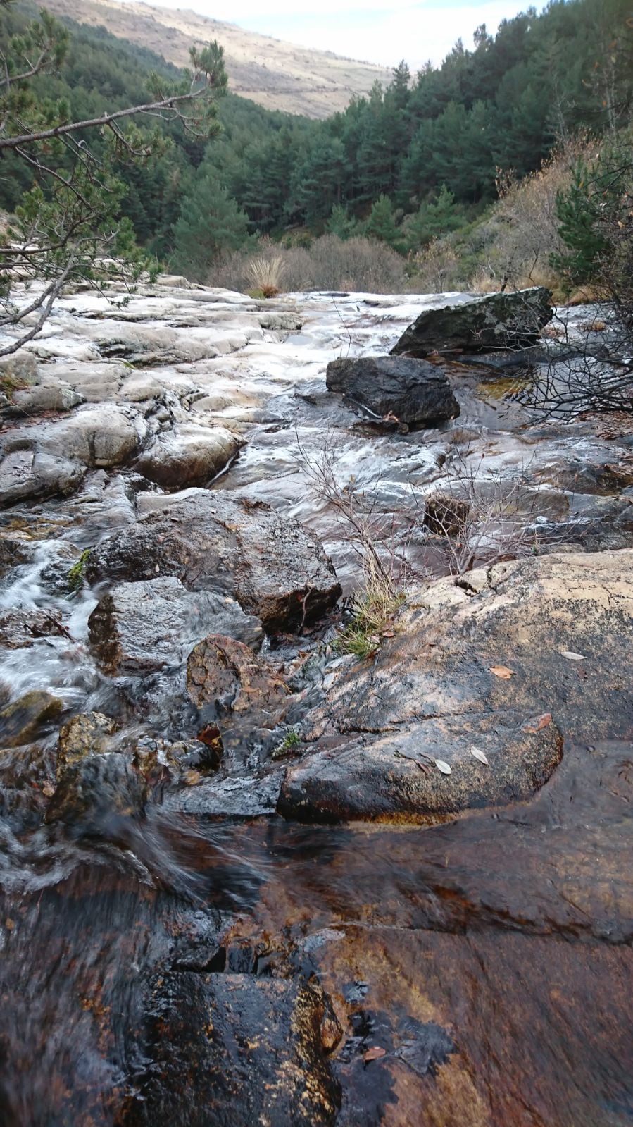 AR La Chorrera de San Mamés - Casa 16A