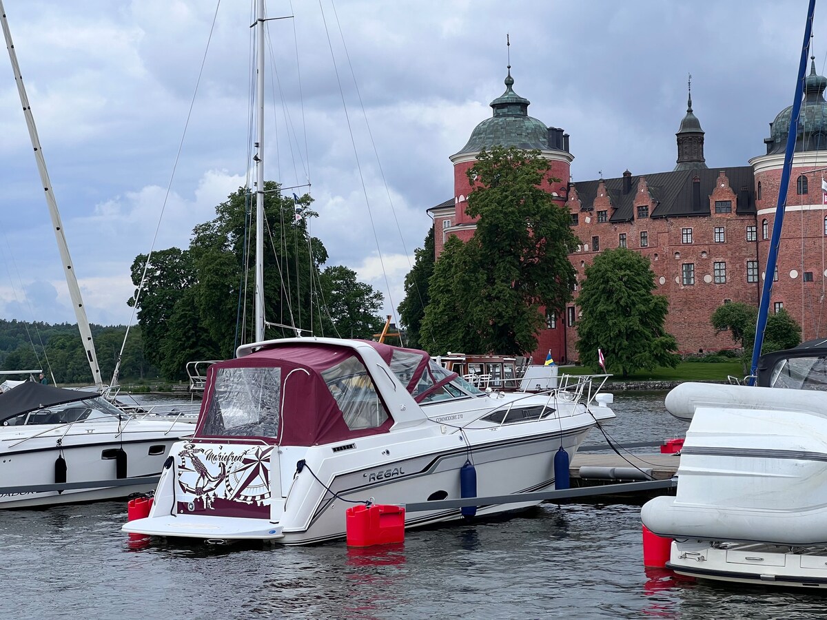 格里普索尔姆城堡（ Gripsholm castle ）外有清新宽敞的船只。