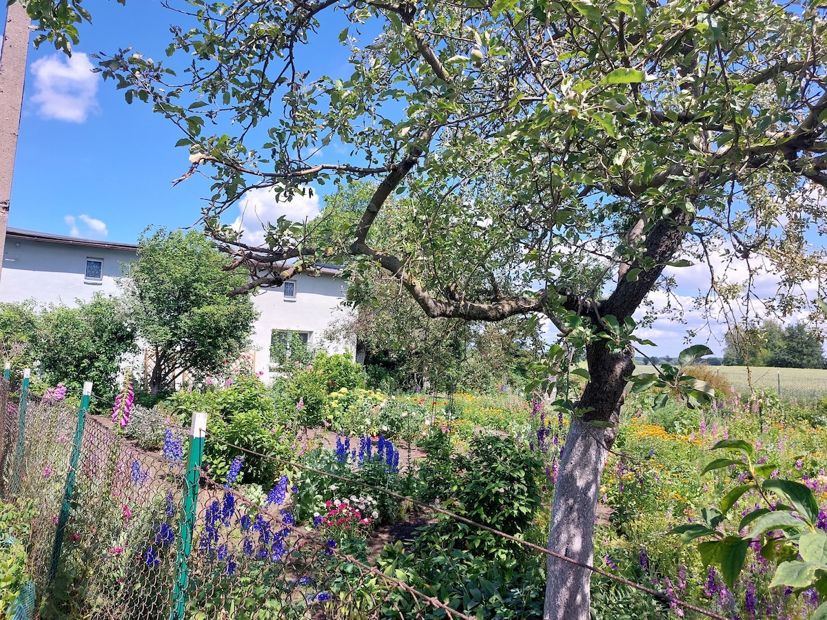 Domek w ogrodzie babci Amalii