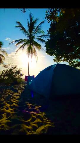 迪亚尼海滩(Diani Beach)的民宿