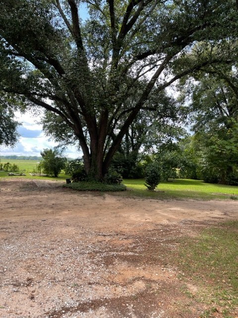 Bosbyrd Farm （博斯比德农场