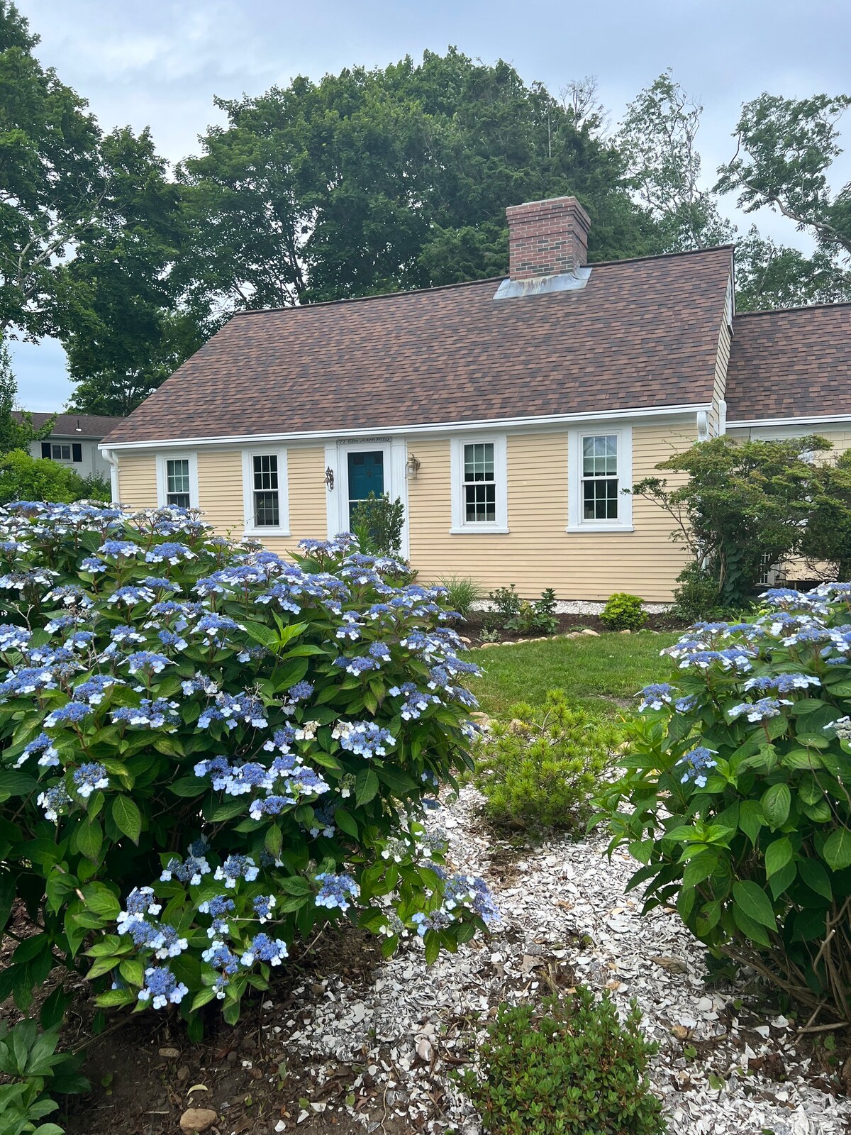 Beach and Dining without a Car—Falmouth Village!