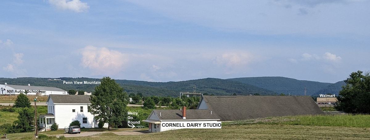 Cornell Farm Studio 1 ，靠近RT 119/22 Light-Walmart