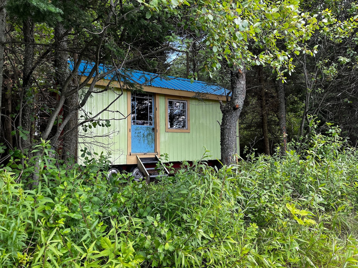 Refuge style mini-maison, 6km sentiers, foyer, BBQ