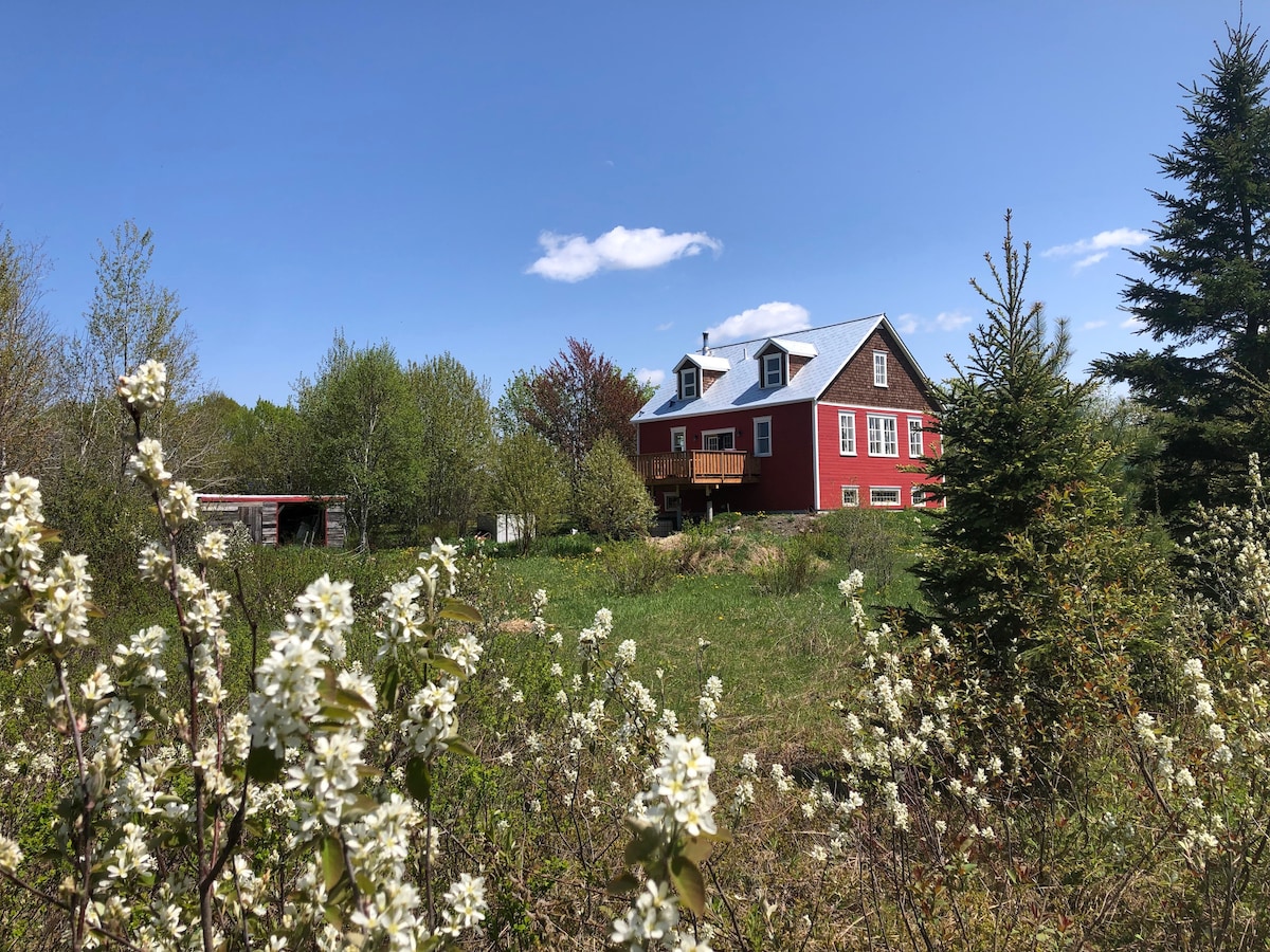 Maison ensoleillée  entre fleuve, champs et forêt