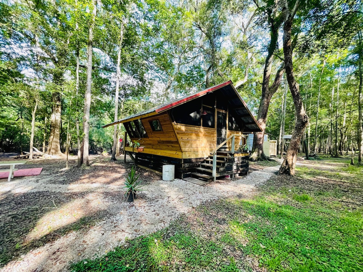 Nature's Getaway: Blue Bird Camping Cabin