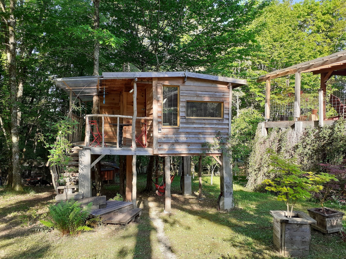 la cabane de l'oiseau