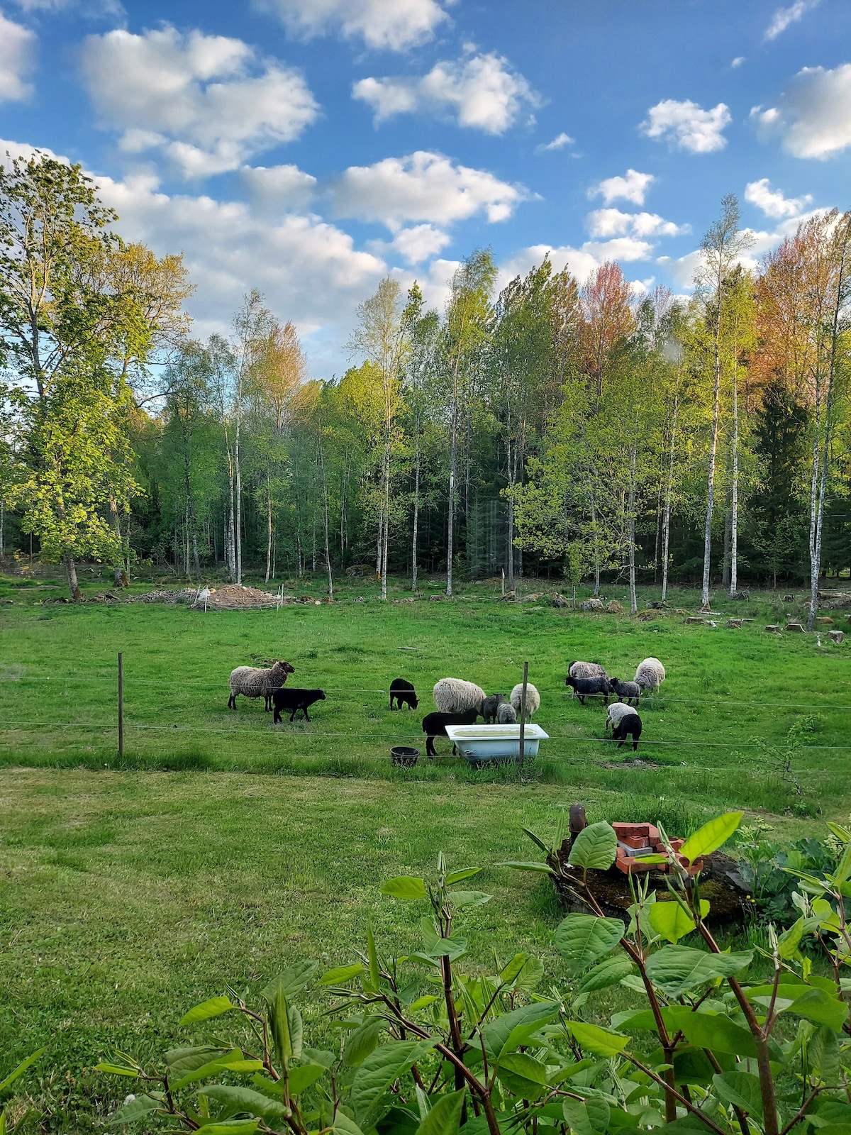 可爱的瑞典小屋