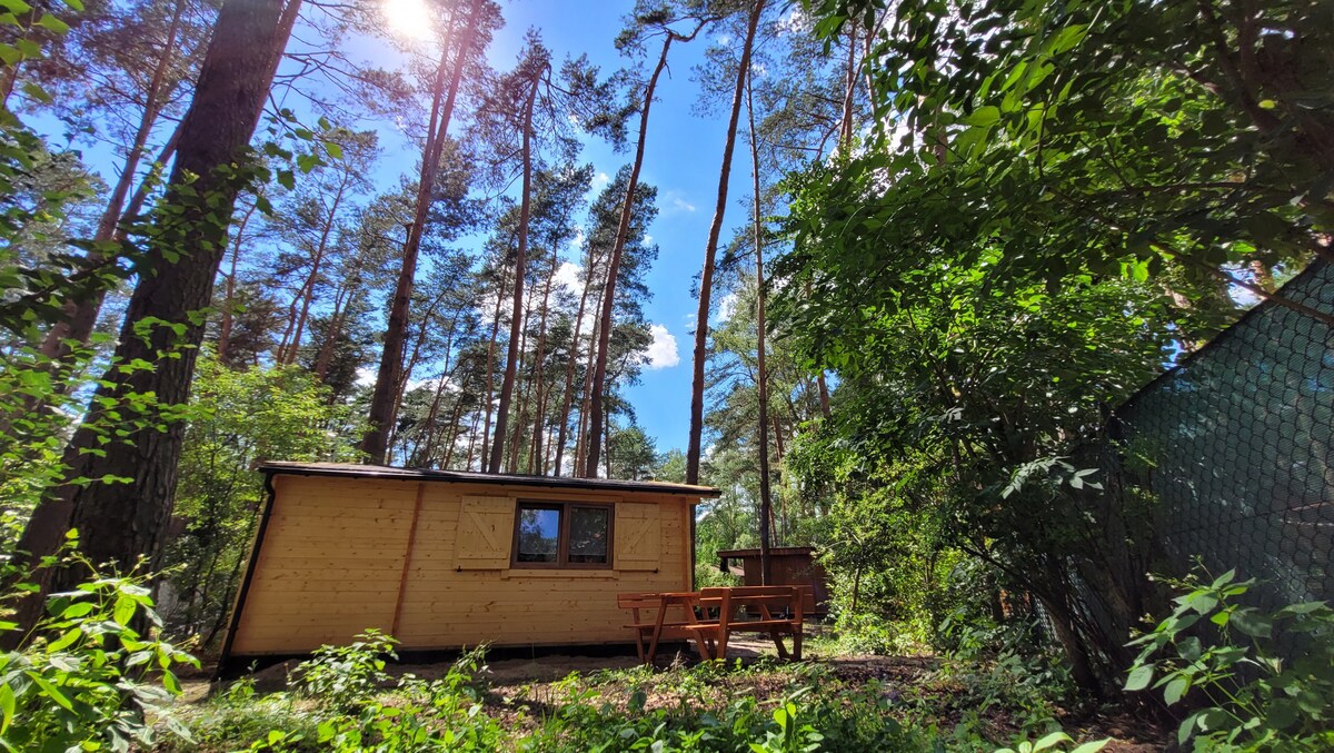 Piękny domek drewniany 3 pokojowy obok las/jezioro