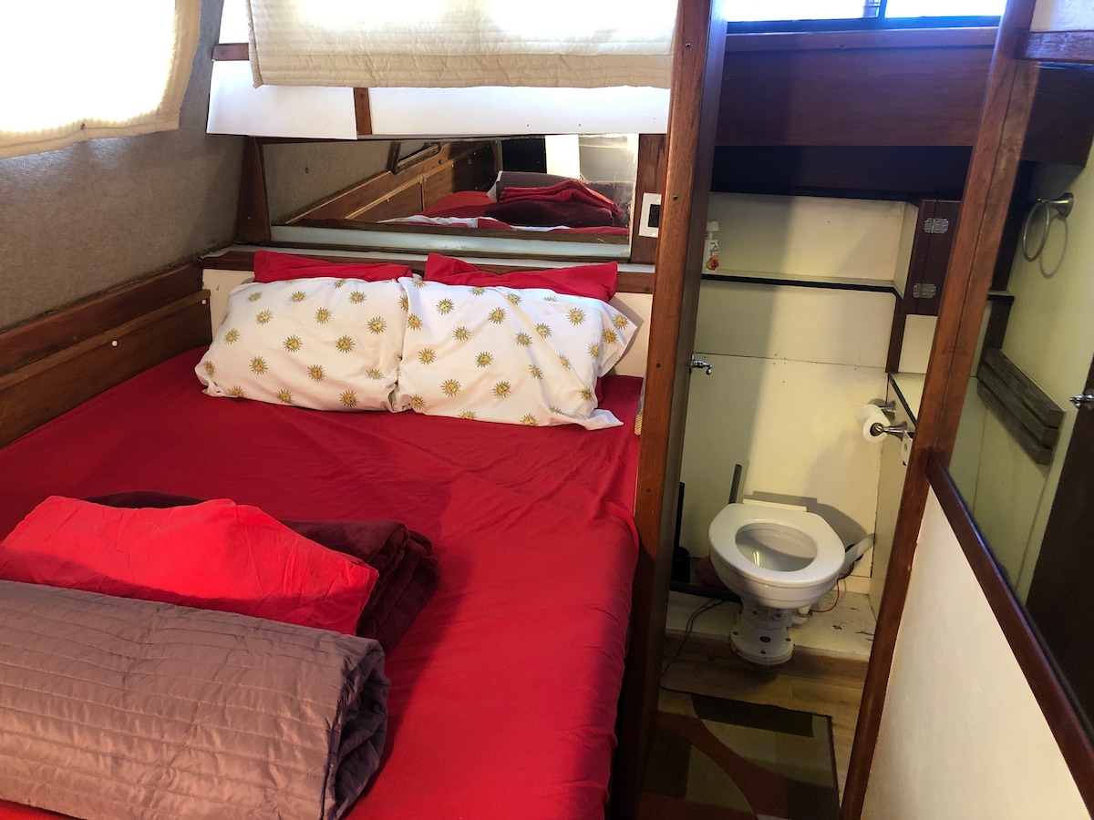 老式36F小木屋Cruiser船