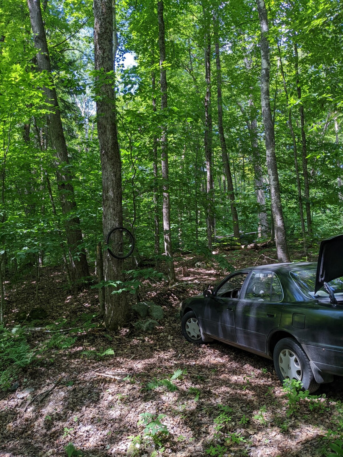 Remote Campsite in the Green Mountains!