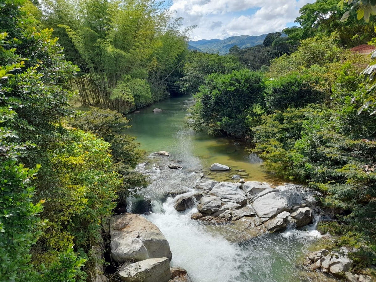 Eco paradise by the river, garden oasis (Colibri)