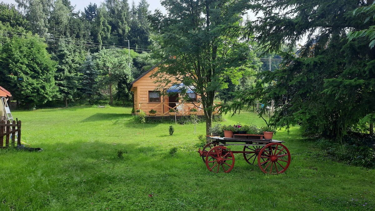 雅兹比纳乡村小屋