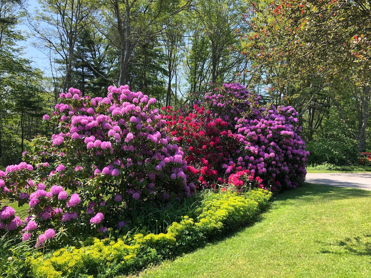 大岛绿洲（ Great Island Oasis ）