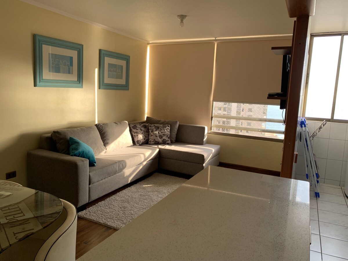 舒适且设备齐全的南区公寓Iquique