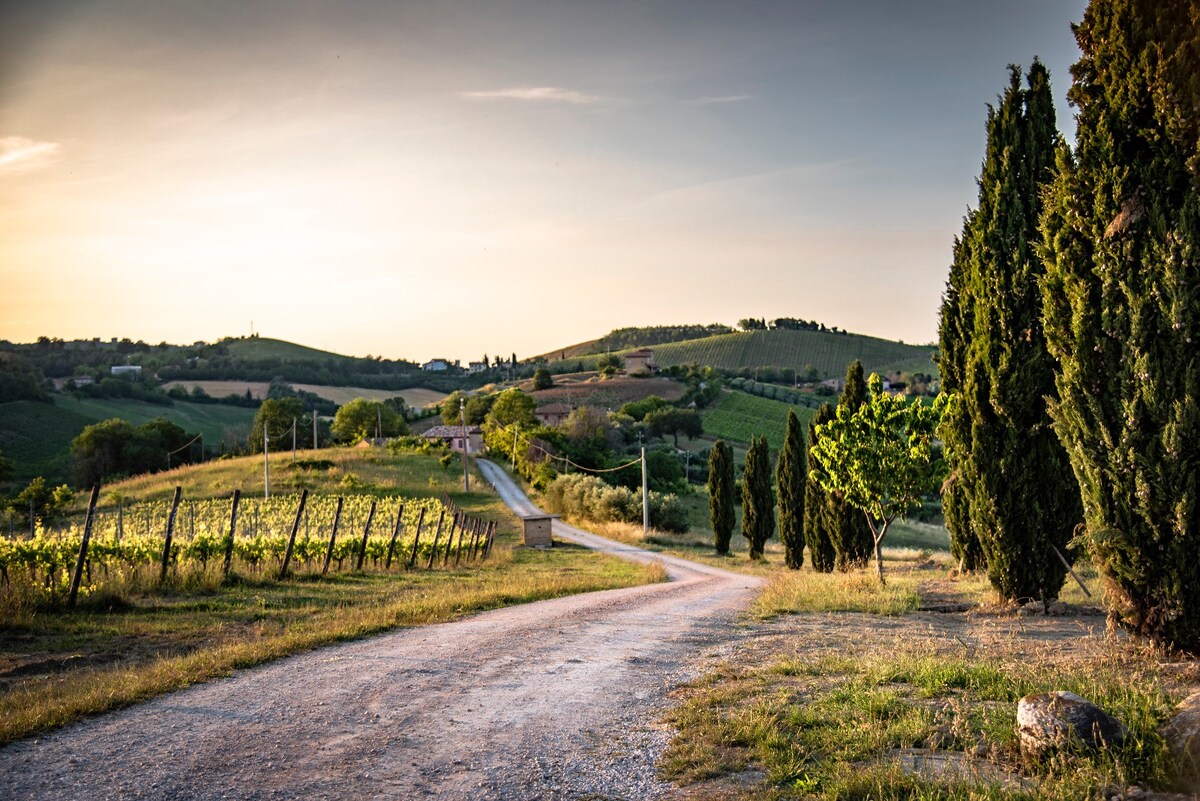 Largo delle Querce - LAST MINUTE